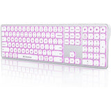 Backlit Bluetooth Keyboard for Win & Mac, Multi-Device Slim Rechargeable Wireless Keyboard for Laptop Computer